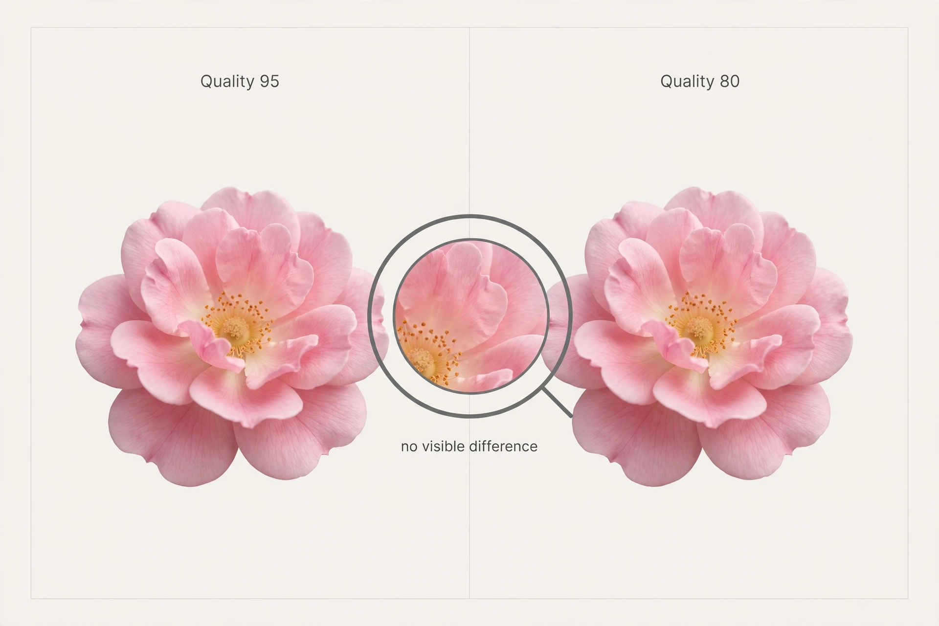 Side-by-side comparison of a flower photo at JPEG quality 95 versus quality 80, with a magnified inset showing no visible difference